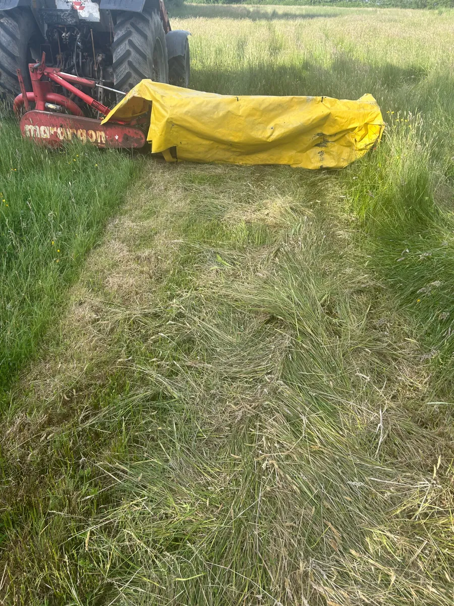 Marangon Mower For Sale - Image 2