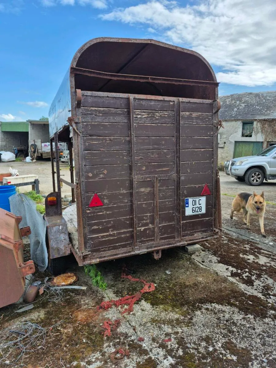 Horse box trailer - Image 2