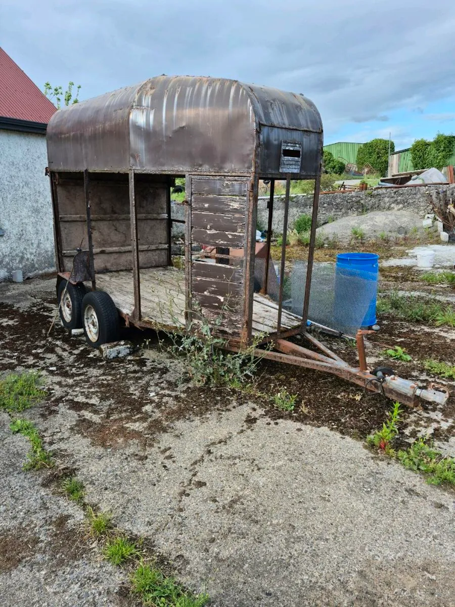 Horse box trailer - Image 1