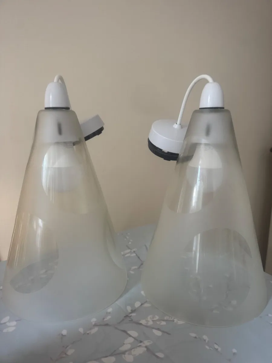 2 Glass Light Shades - Image 2
