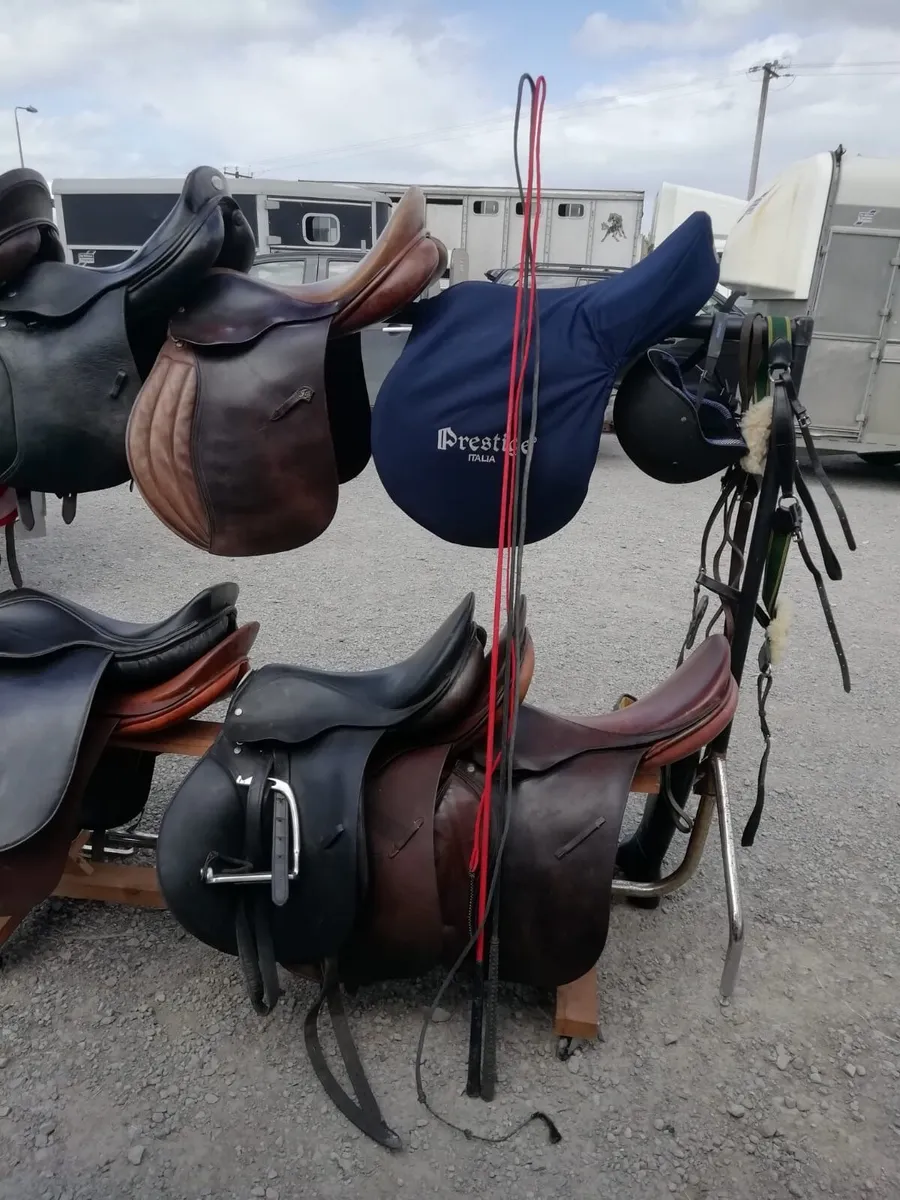 Selection of saddles