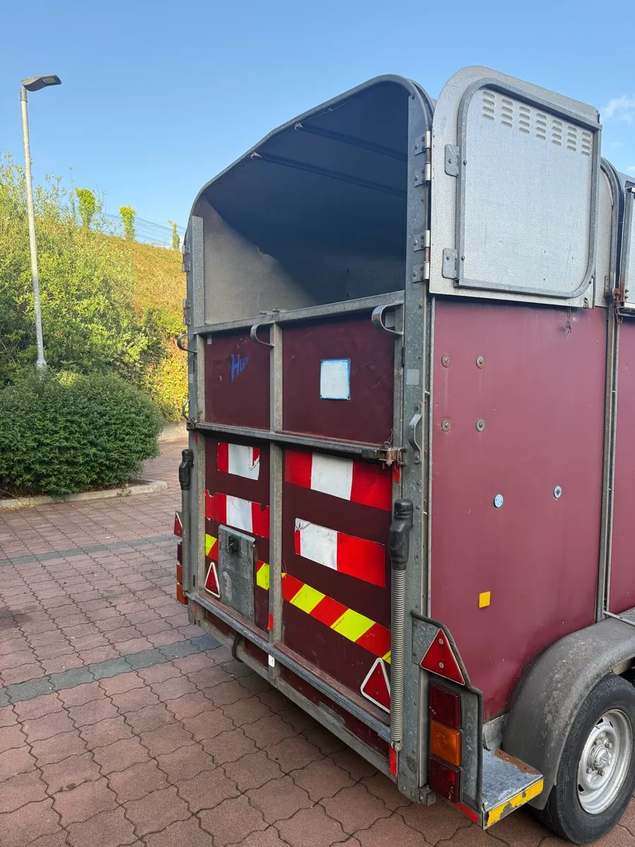 Ifor Williams trailer - Image 4
