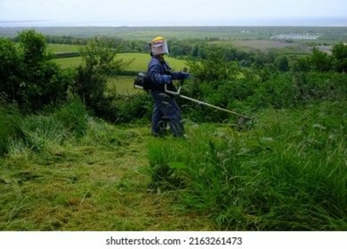 Strimming Contract - Image 1