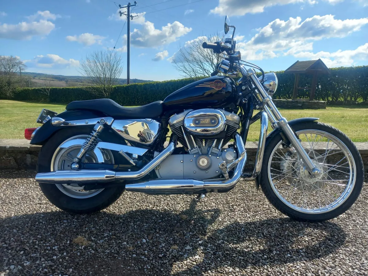 Harley Davidson - Image 2