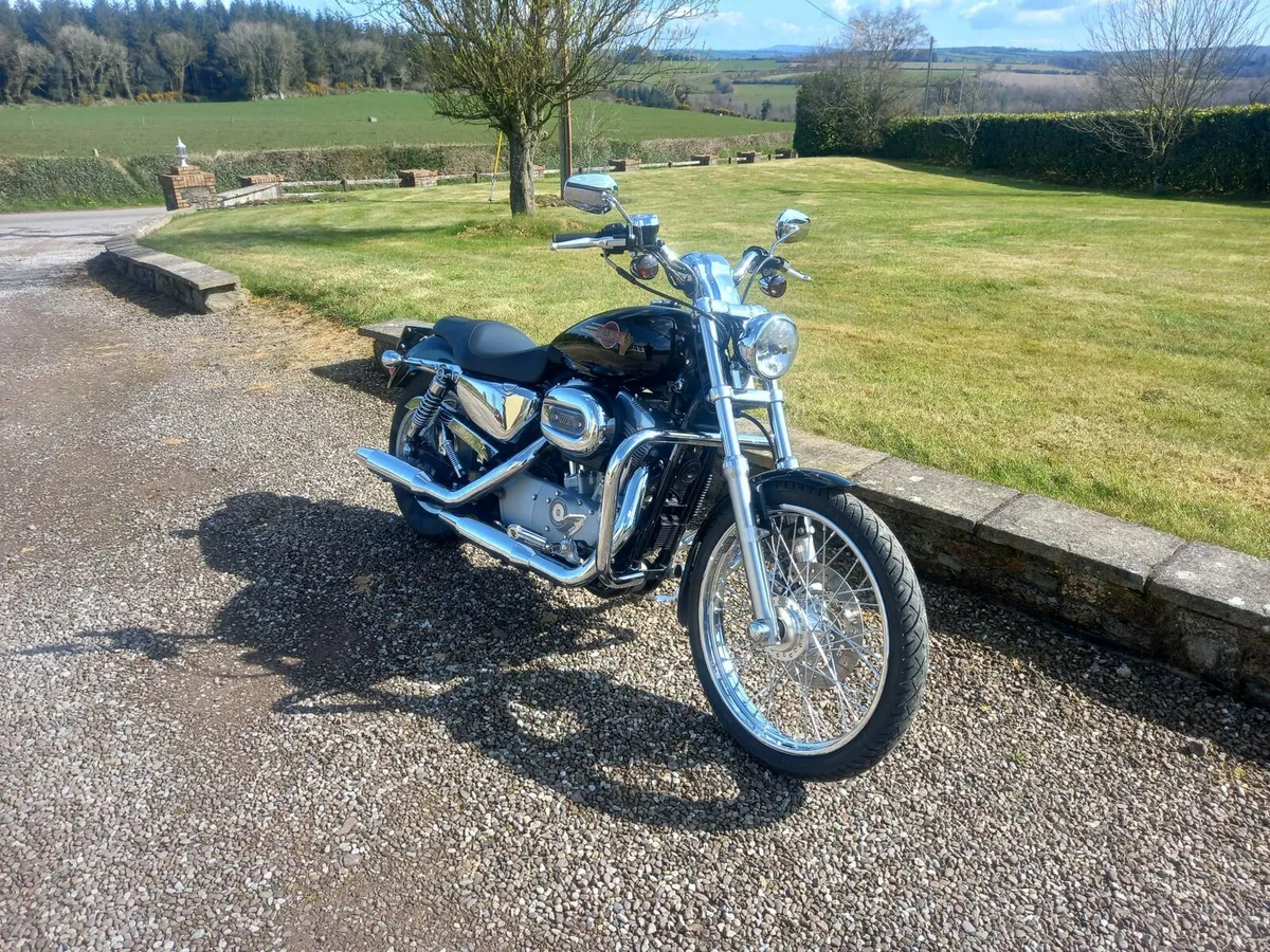 Harley Davidson - Image 3