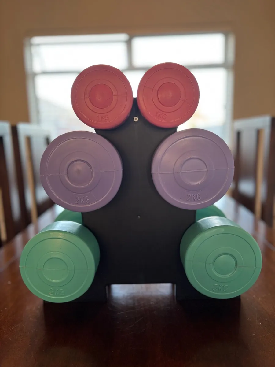 Dumbbells 12kg set - Image 1