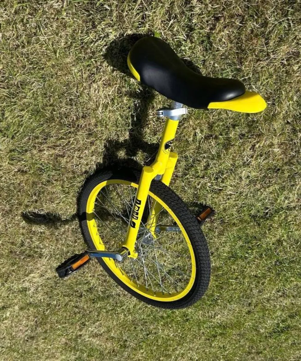 Unicycle - Image 1