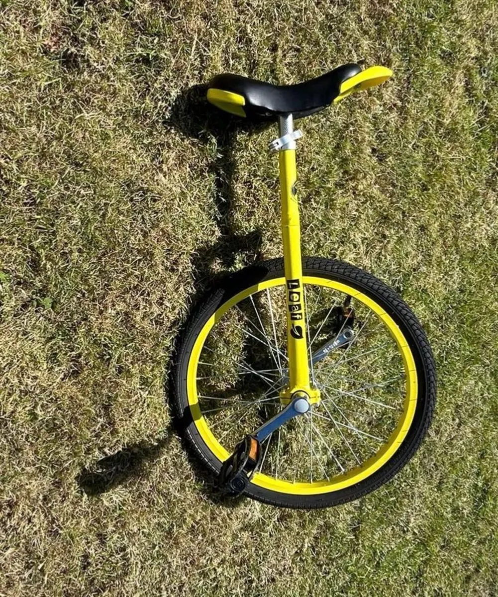 Unicycle - Image 2
