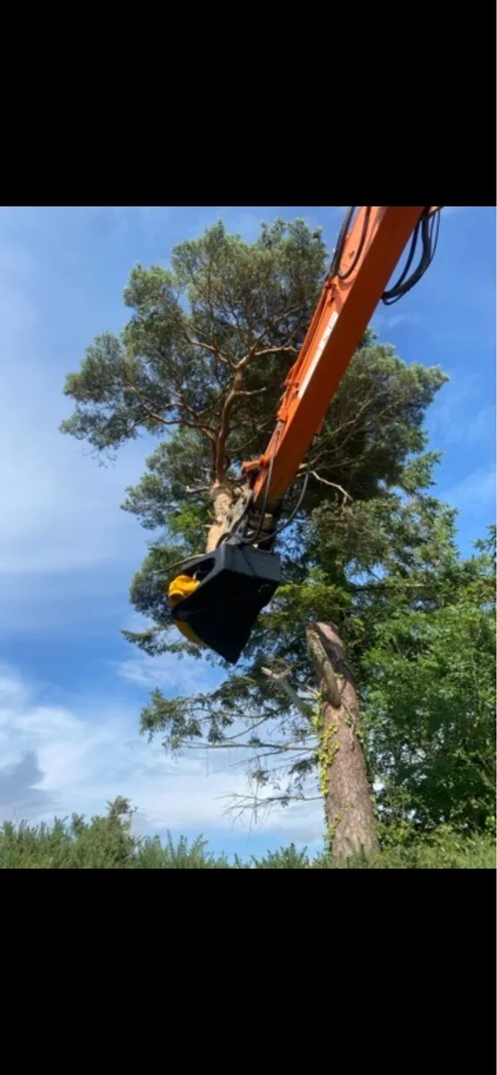 Trees - Image 2