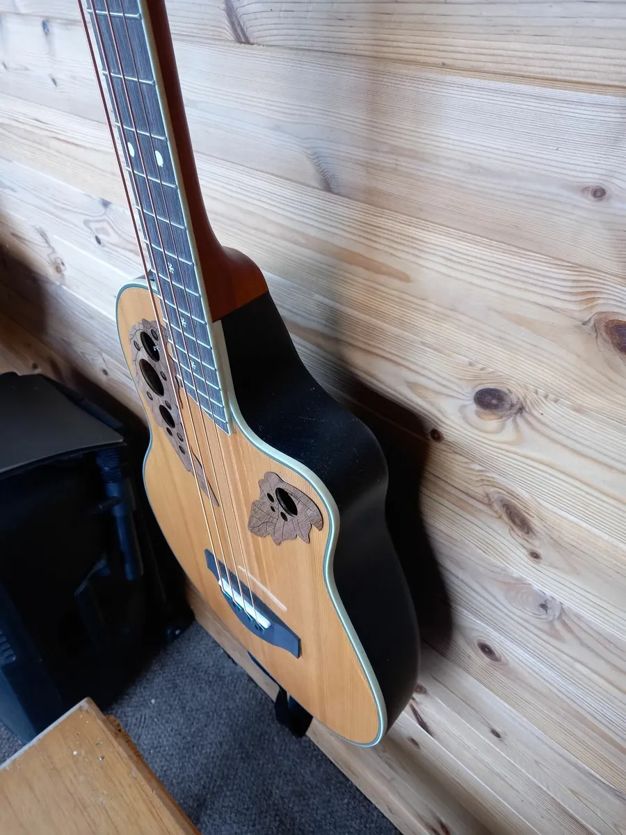 Accoustic electrobass . - Image 3