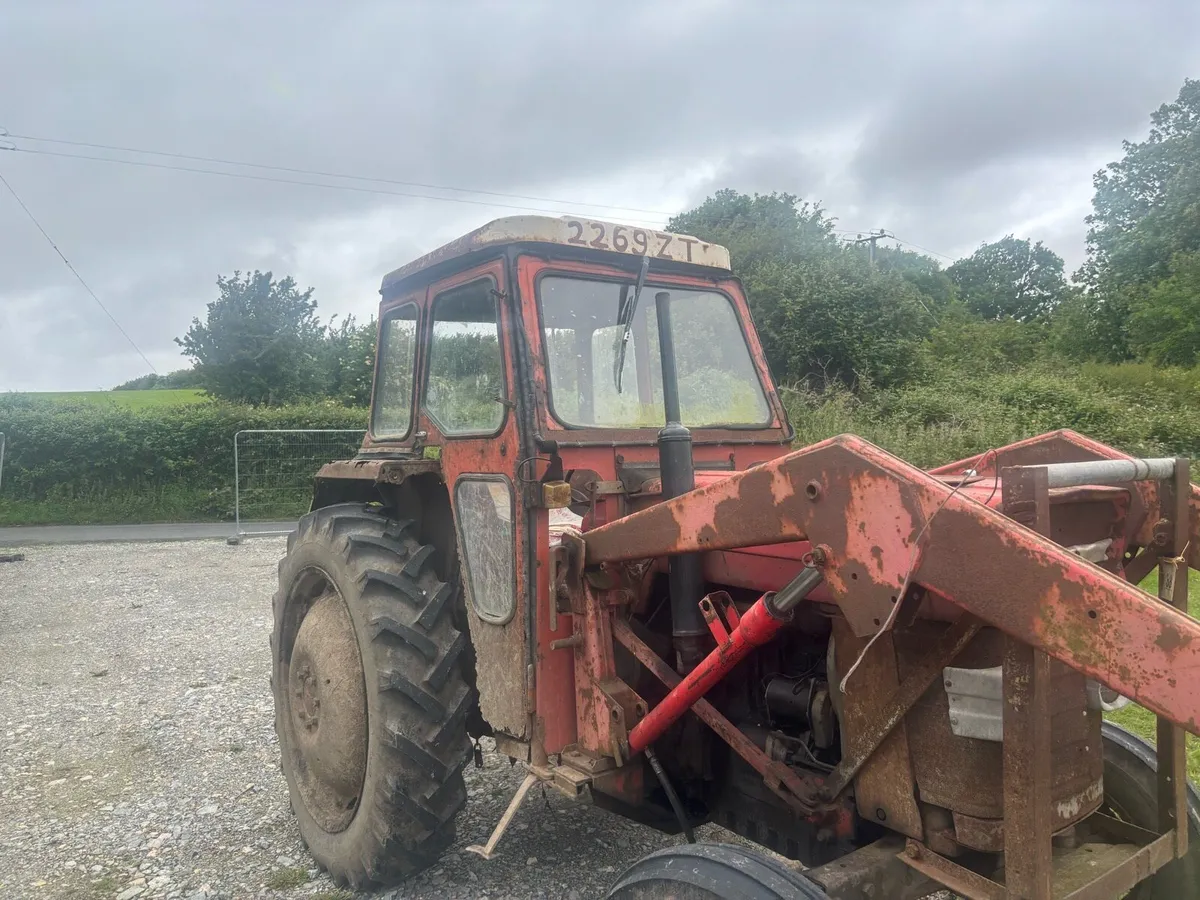 Massey 165 - Image 3