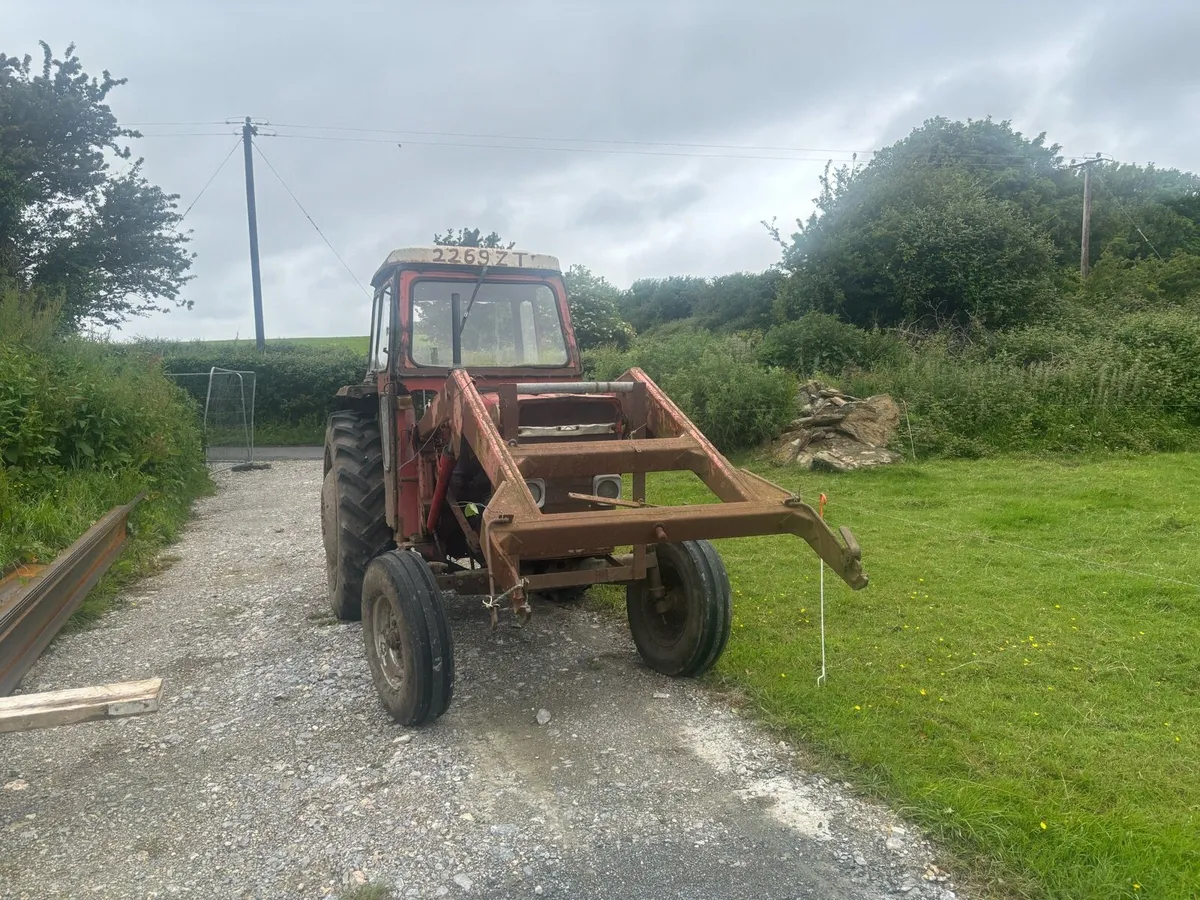 Massey 165 - Image 4