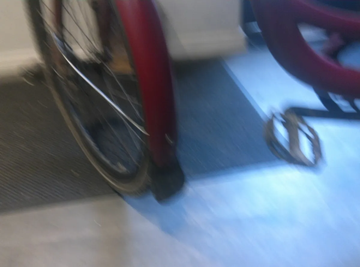 E bike - Image 3