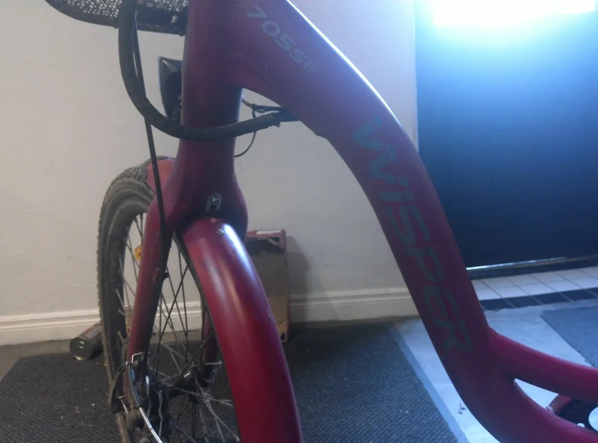 E bike - Image 4