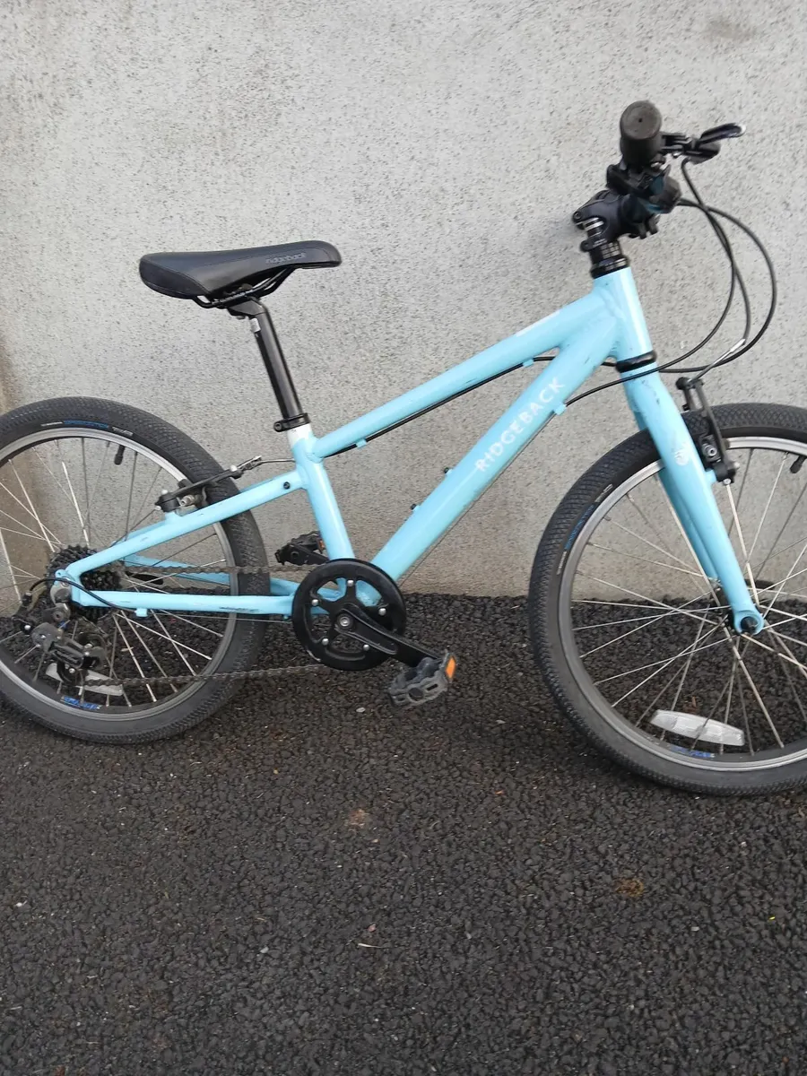 Ridgeback Dimensions 20" - Image 1