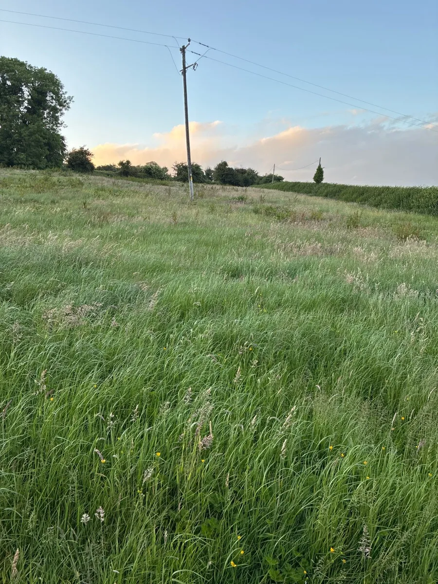 Silage fields - Image 1