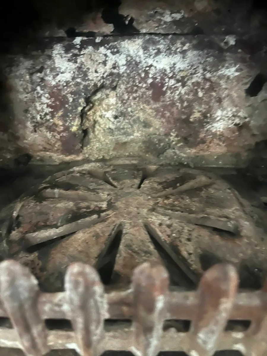 Cast Iron Multifuel Stove - Image 3