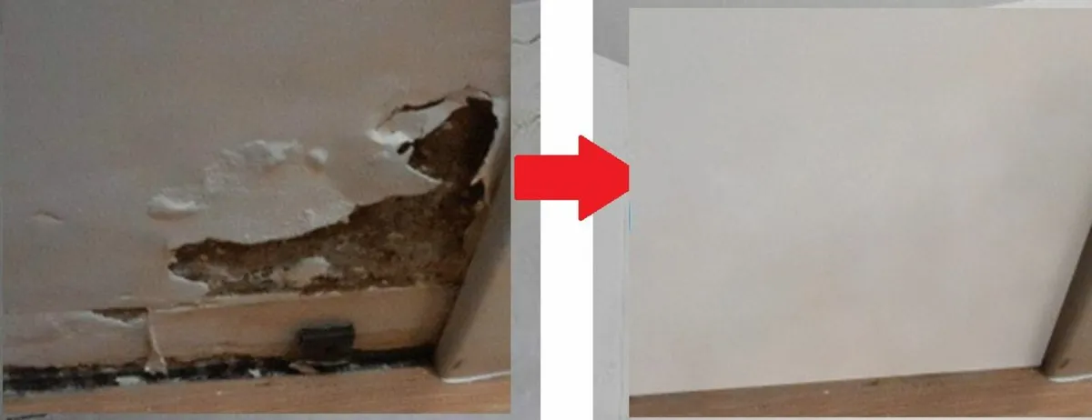 Painter and Dector - Image 2