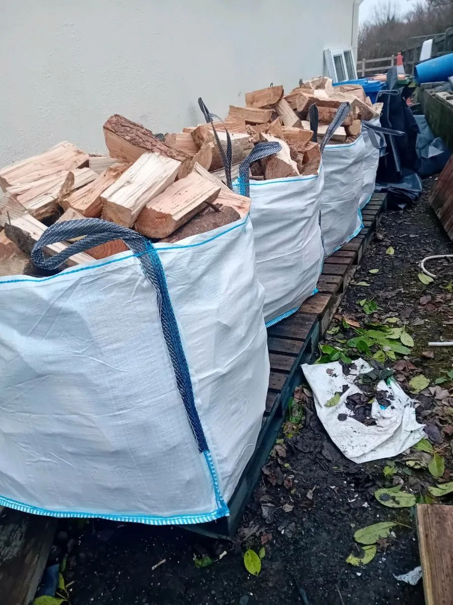 Firewood - Image 3