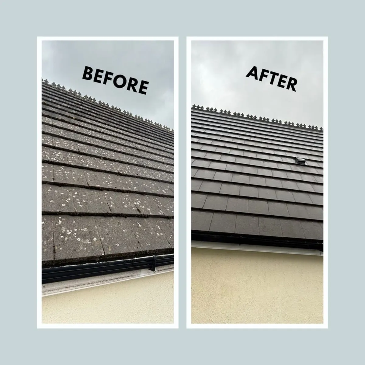 Window Gutter & Home Maintenance - Image 1