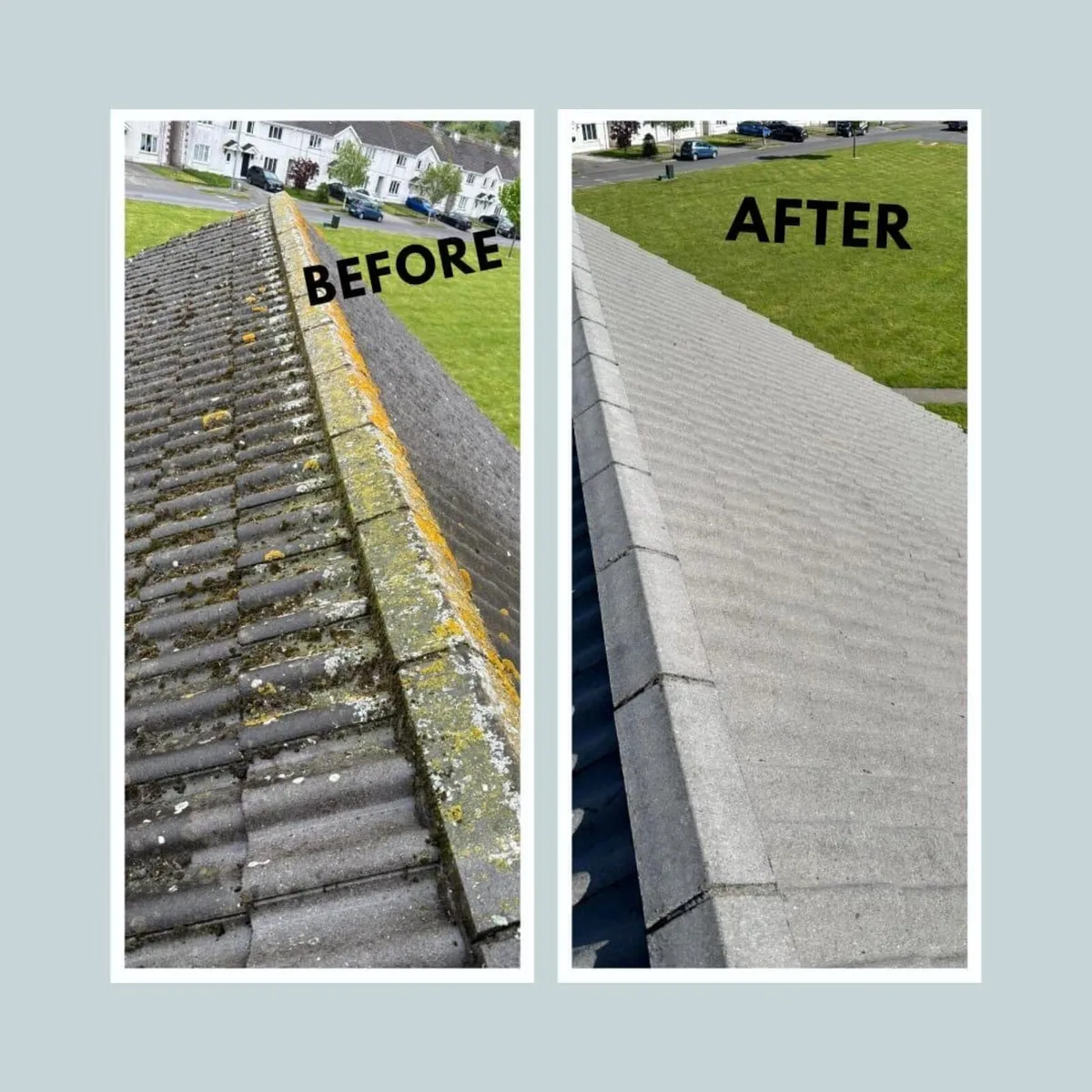 Window Gutter & Home Maintenance - Image 3
