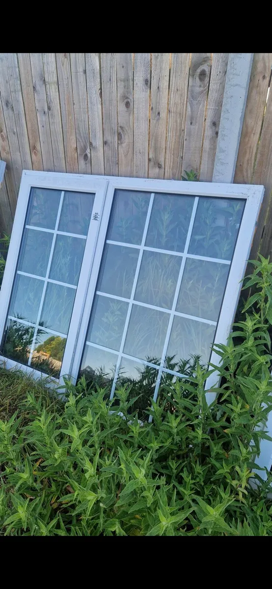 Pvc doors - Image 1