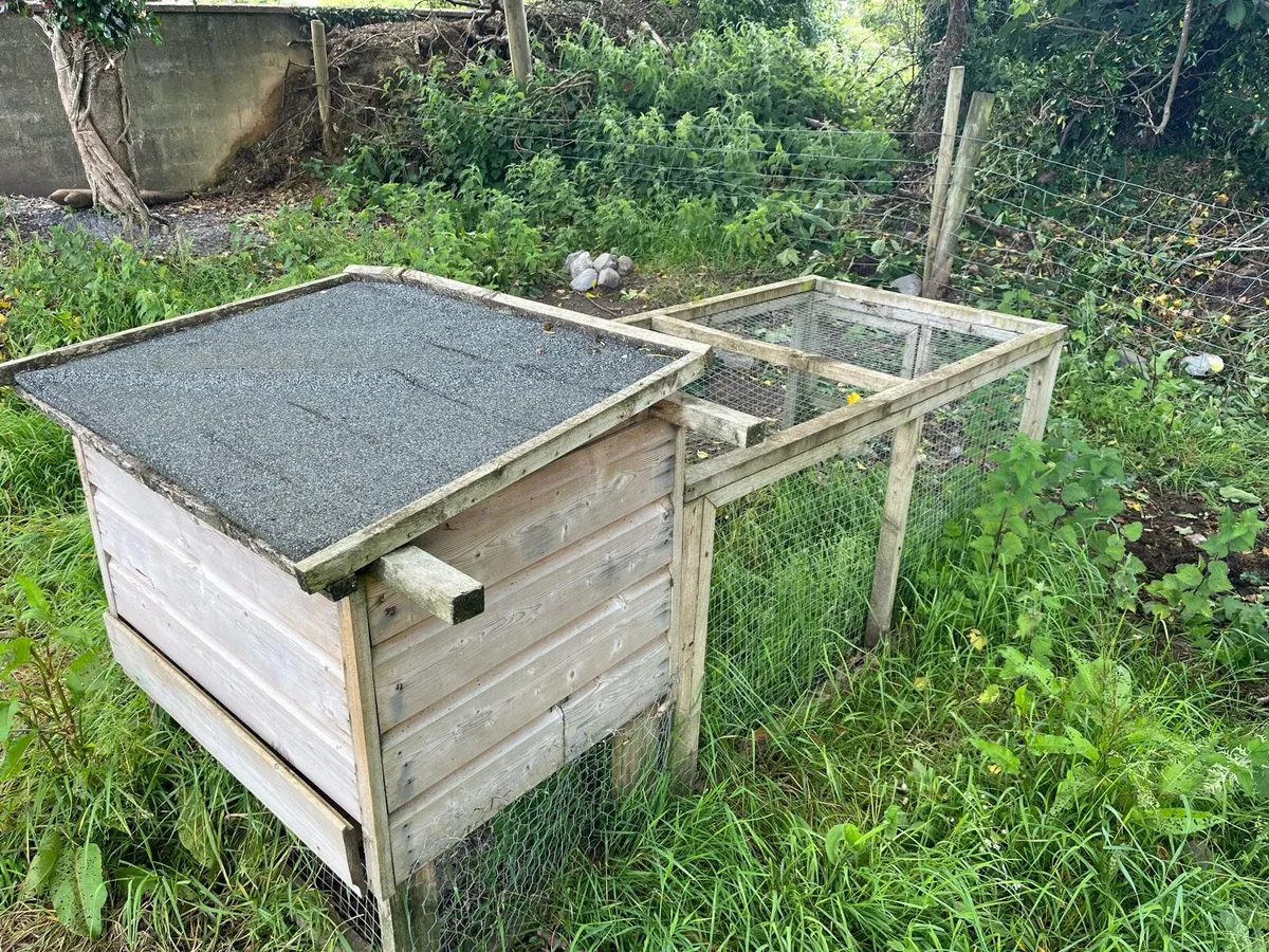 Chicken coops - Image 1
