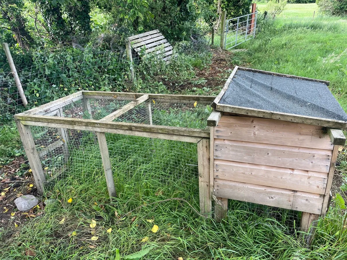 Chicken coops - Image 2