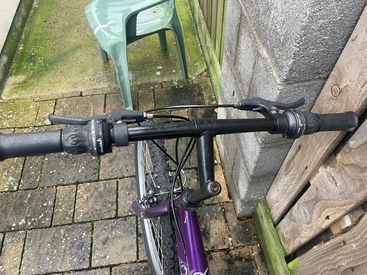 Bicycle - Image 1