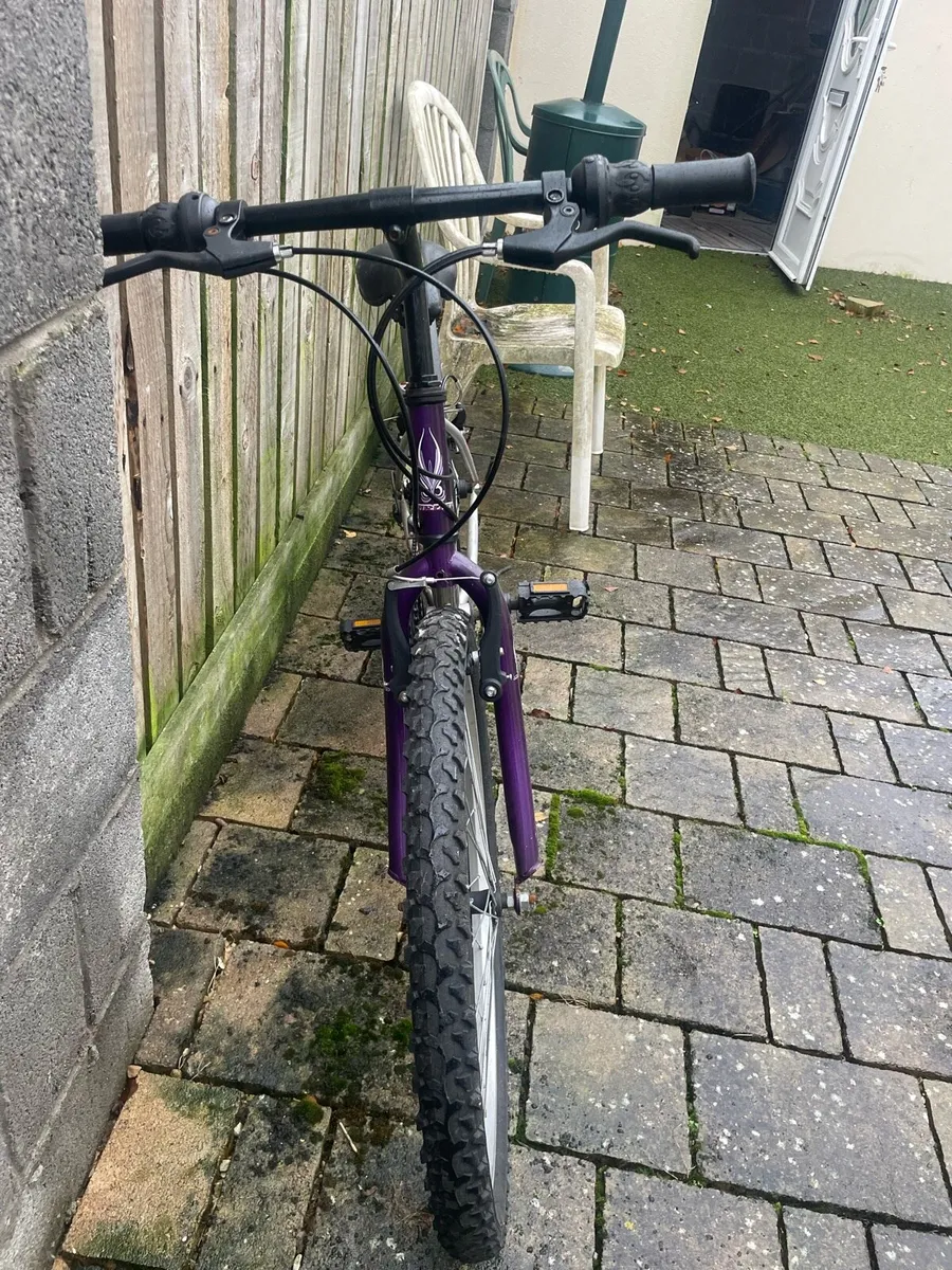 Bicycle - Image 3
