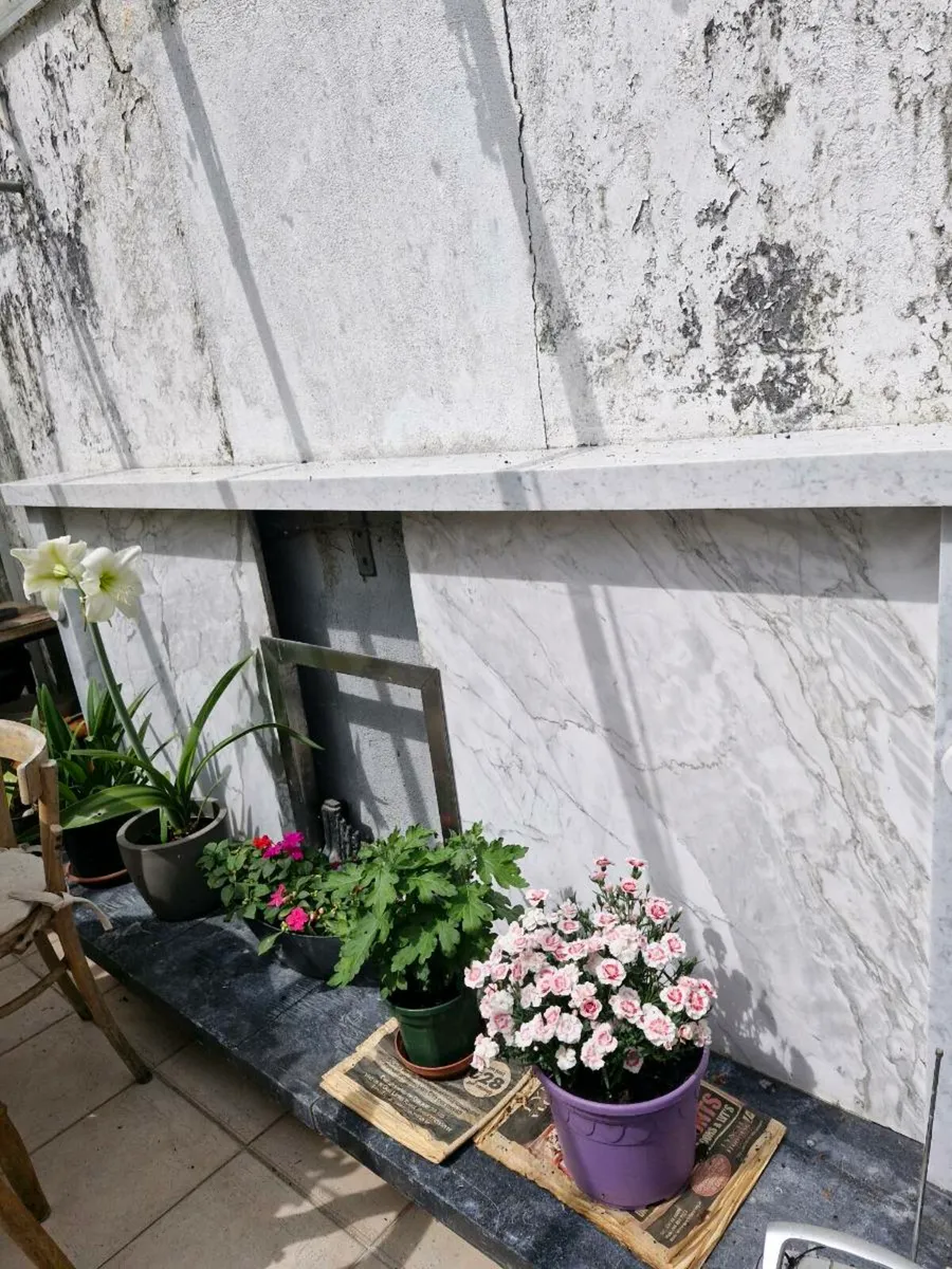 White marble fireplace with black granite hearth - Image 1