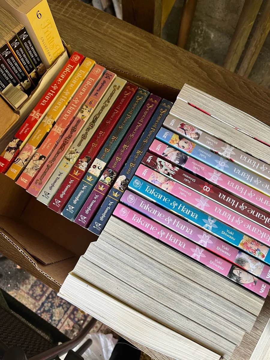 Manga big books €15. Normal size €5 - Image 1