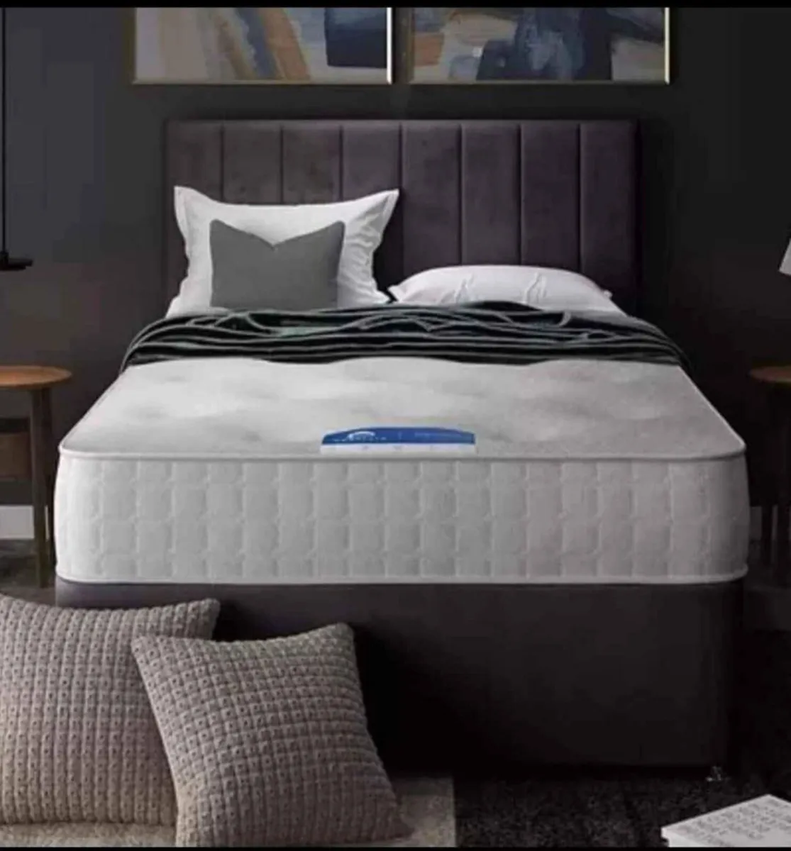 New beds