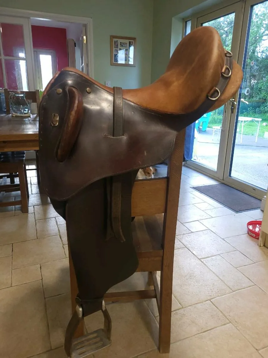 Saddle and horse box - Image 1