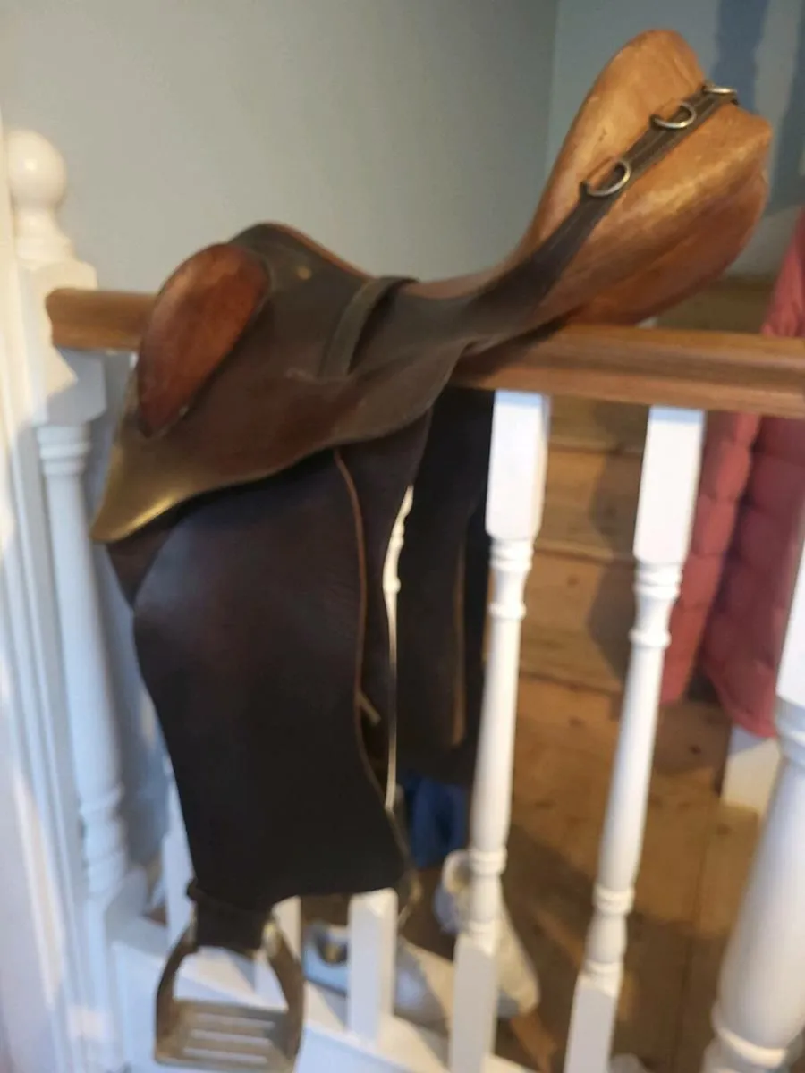 Saddle and horse box - Image 2
