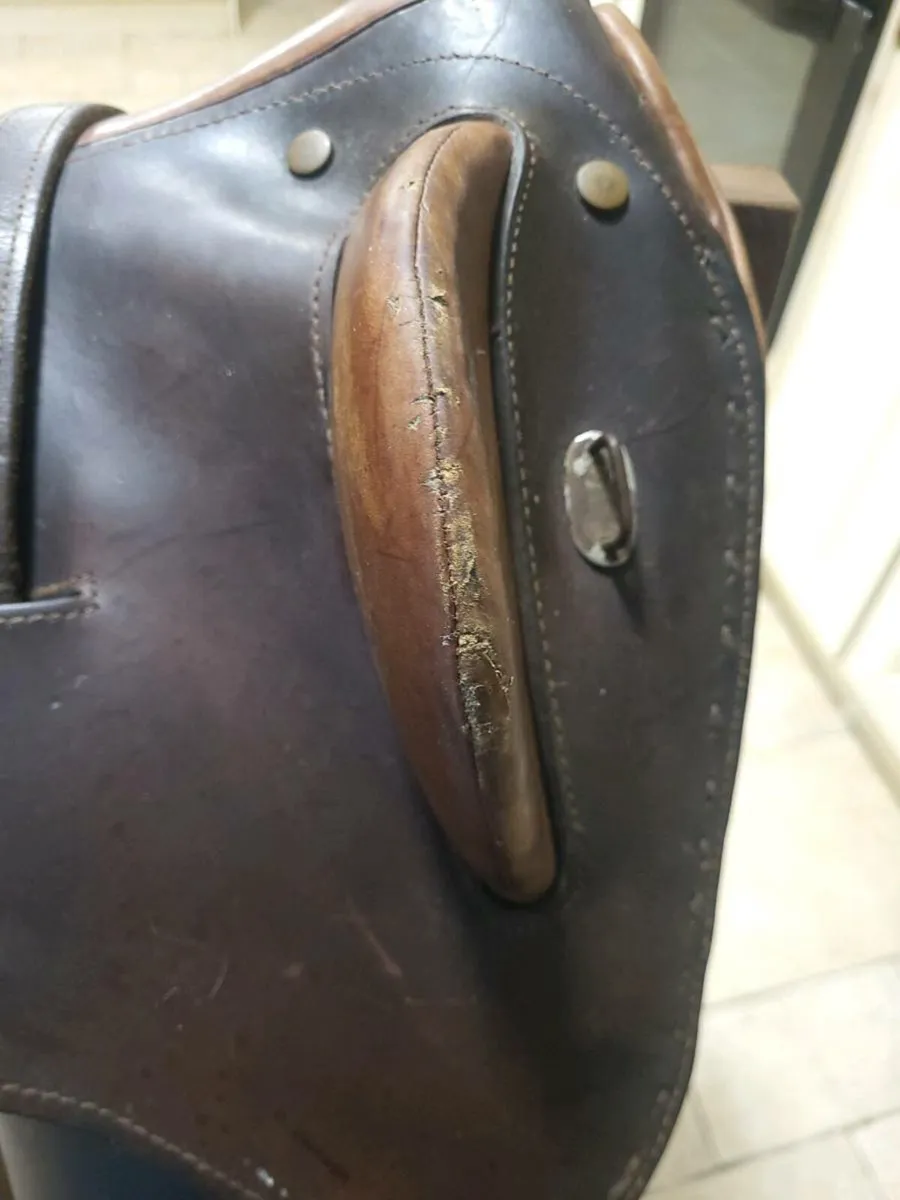 Saddle and horse box - Image 3