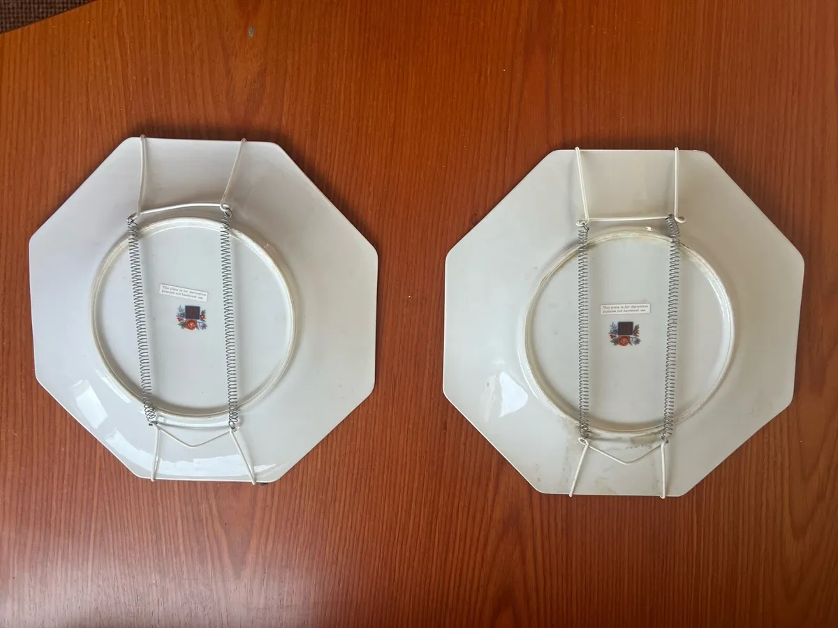 Pair of Decorative Wall Floral Plates - Image 2