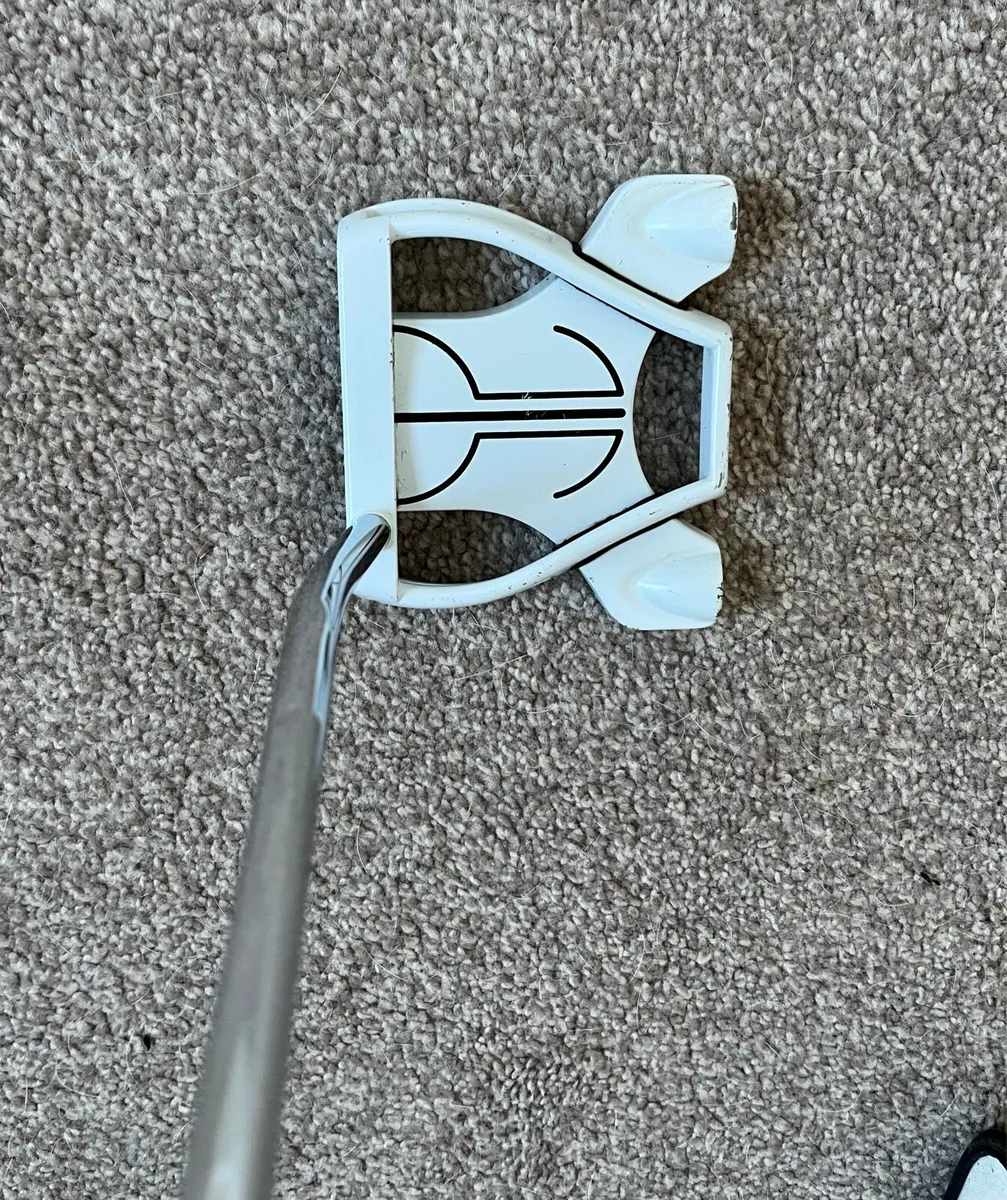 Taylormade Spider - Image 2