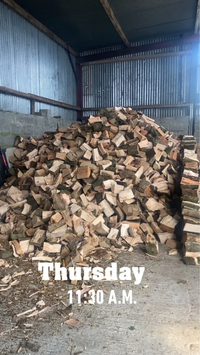 Timber for sale - Image 4