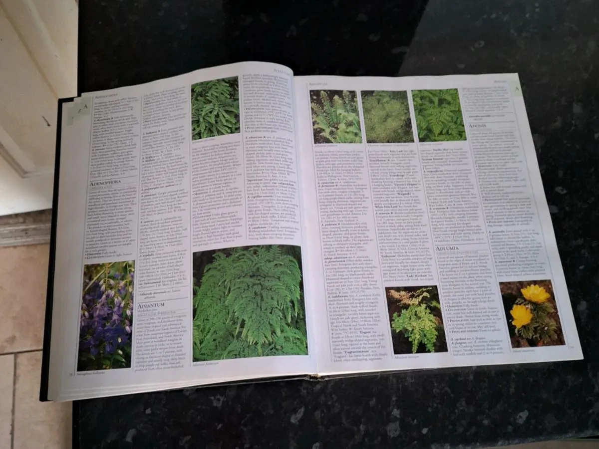 RHS A to Z encyclopedia of garden plants - Image 2