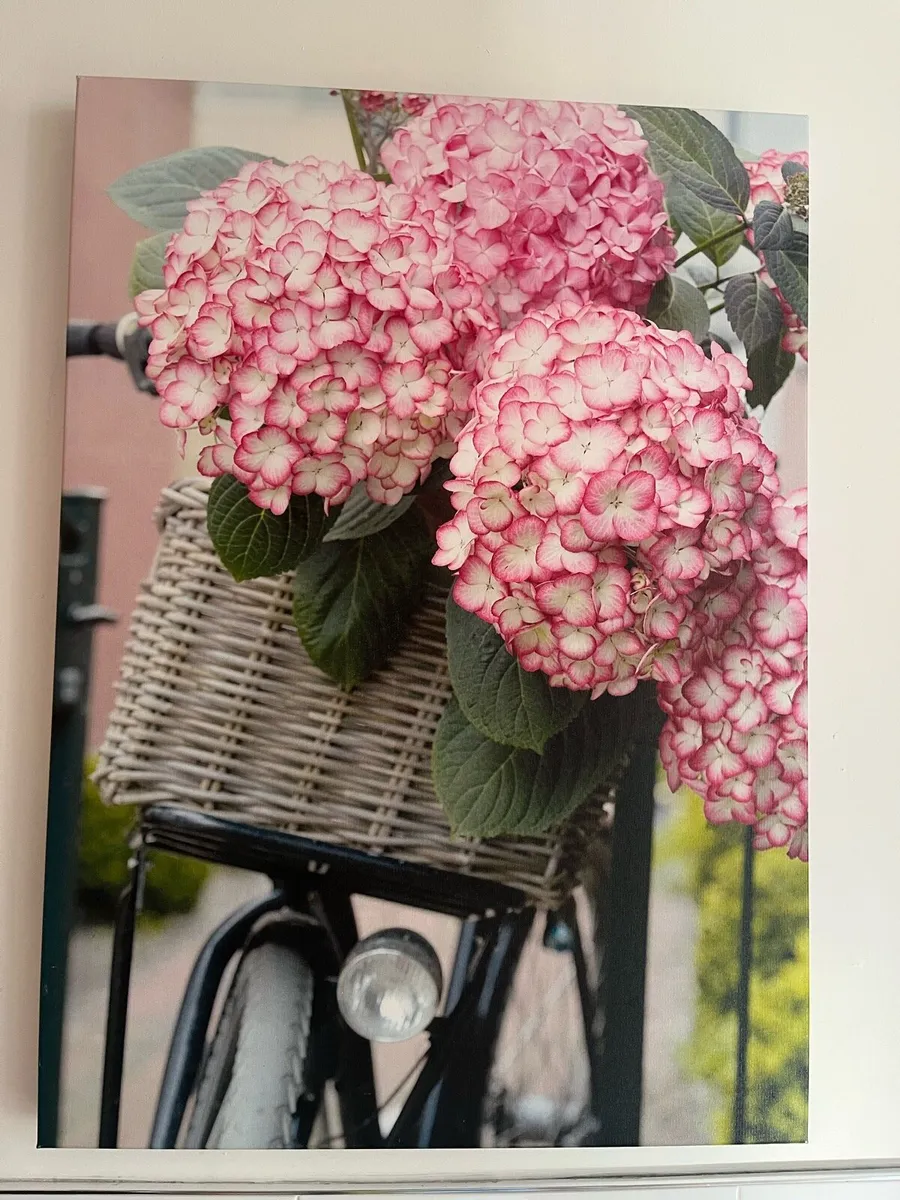 Canvas - Image 1