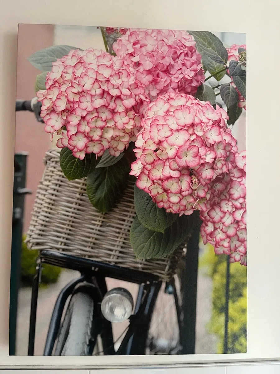 Canvas - Image 3