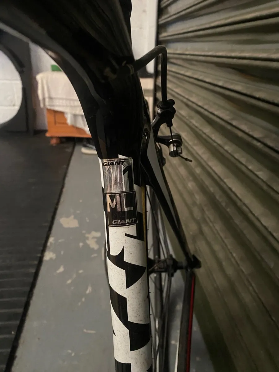 Giant TCR - Image 3