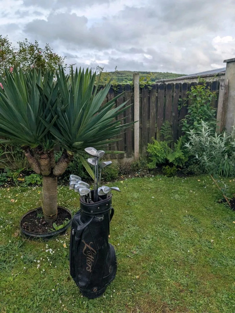 Full Golf clubs set up need gone today - Image 1
