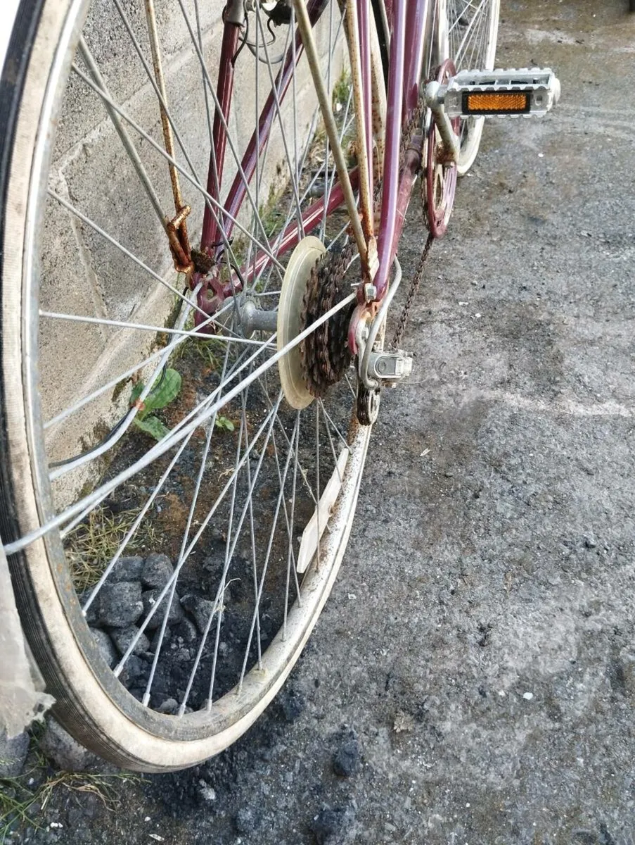 Vintage Raleigh racer - Image 2