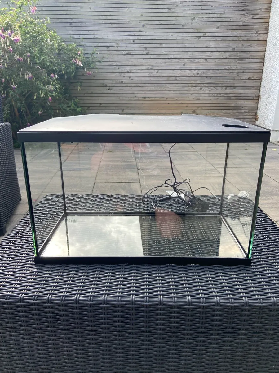 Fish tank - Image 1
