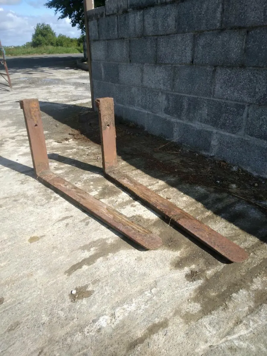 Pallet forks - Image 1