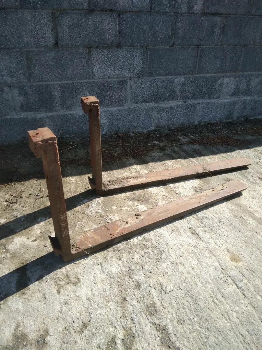 Pallet forks - Image 2