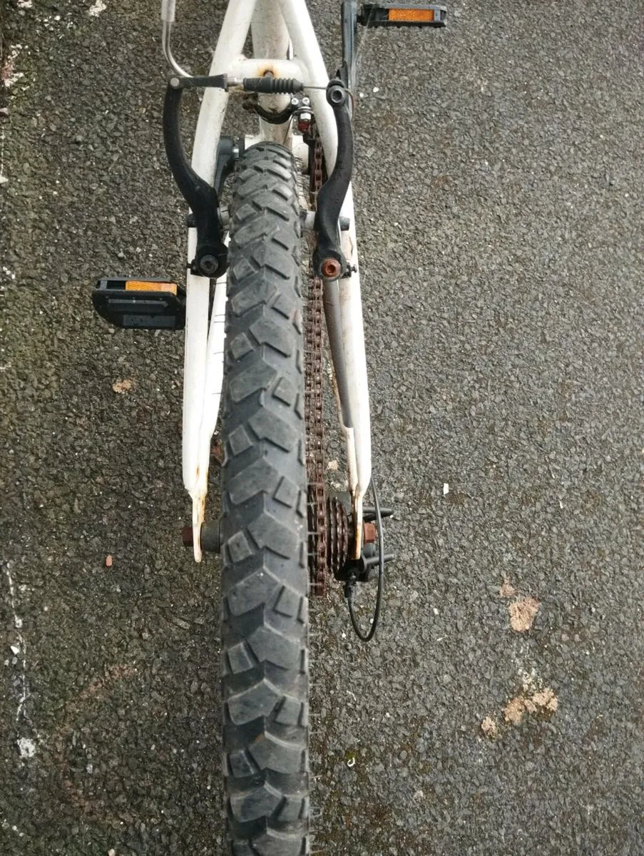 26inch bike - Image 4
