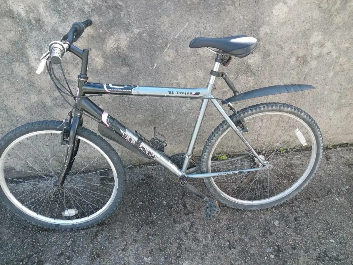 Adults bike - Image 1